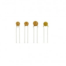 100pF 2kV Radial Ceramic DC Disc Capacitor S101K25X7RP6TK5R
